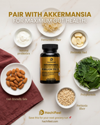 Foods that pair with HachiFeel Akkermansia for gut health